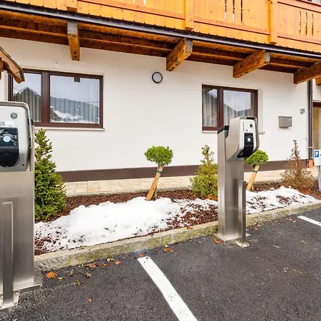 Tiroler Zeitgeist Apartment *